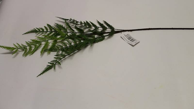 PAPROĆ GAŁĄZKA X5  90 CM