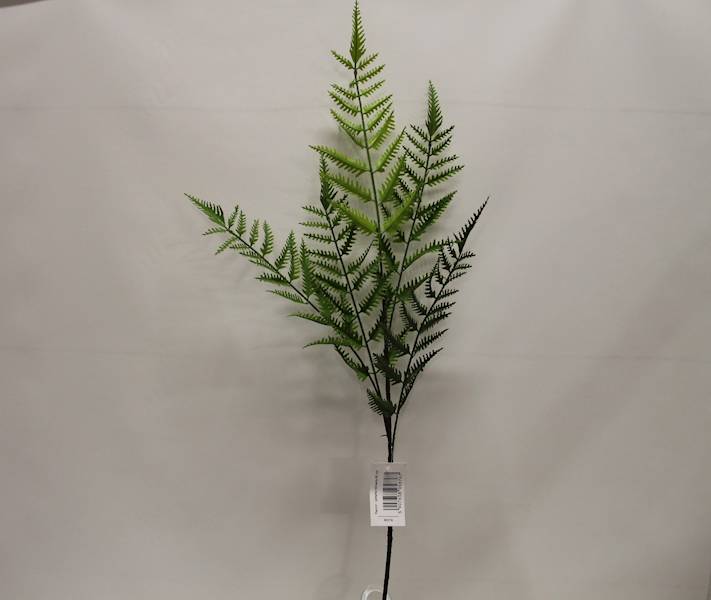 PAPROĆ GAŁĄZKA X5  90 CM