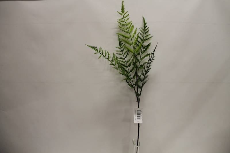 PAPROĆ GAŁĄZKA X5  90 CM