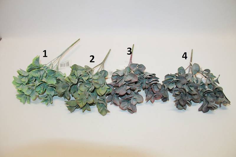 DODATEK BUKIECIK EUKALIPTUSA