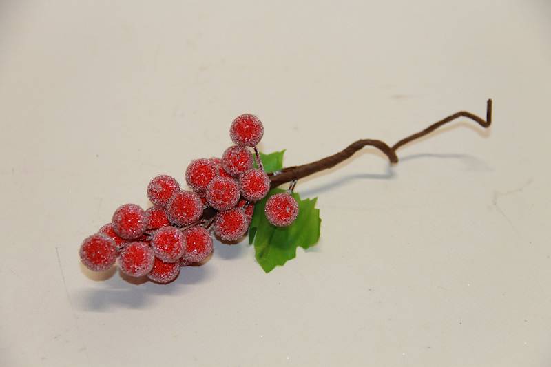 OWOC WINOGRONO CZERWONE OSZRONIAŁE