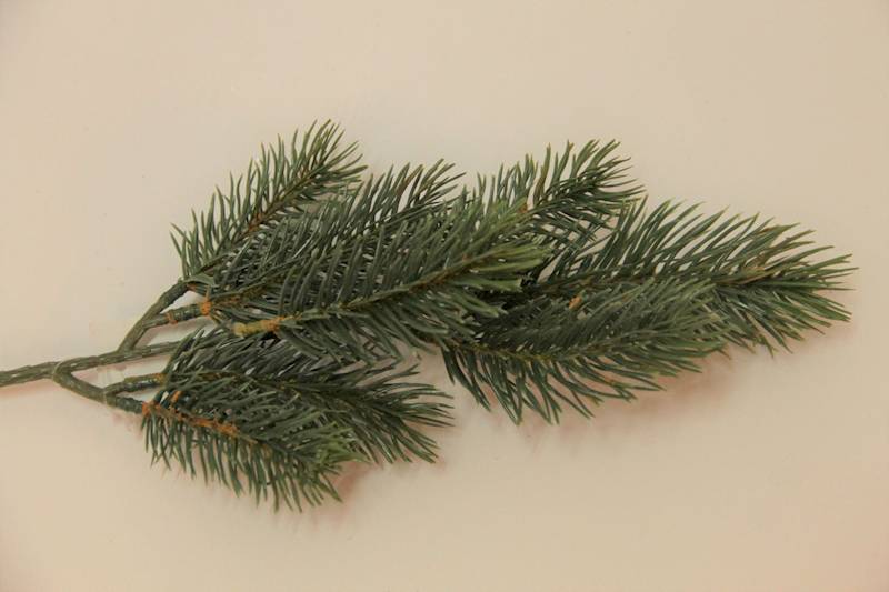 GAŁĄZKA ŚWIERKOWA GREEN