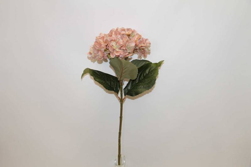 HORTENSJA GAŁĄZKA AUTUMN PINK