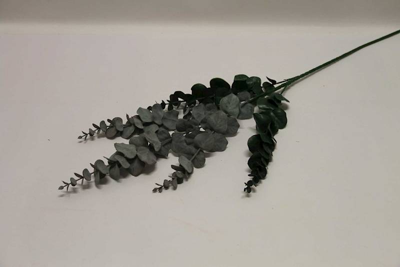 EUKALIPTUS GAŁĄZKA X 5 GREEN/GREY