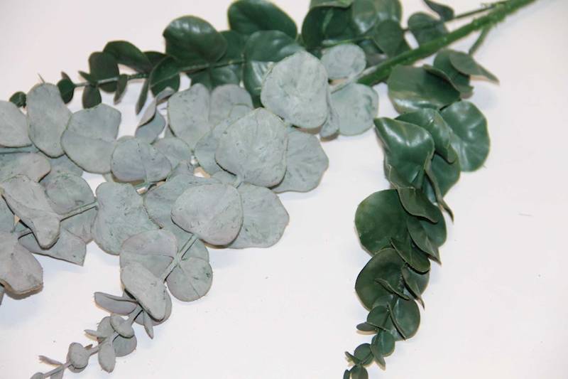 EUKALIPTUS GAŁĄZKA X 5 GREEN/GREY