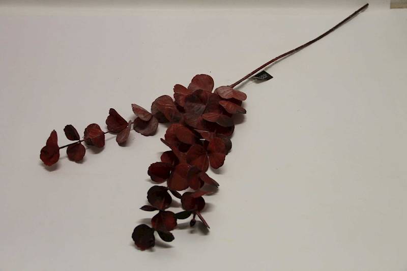 EUKALIPTUS GAŁĄZKA X 3 BURGUND