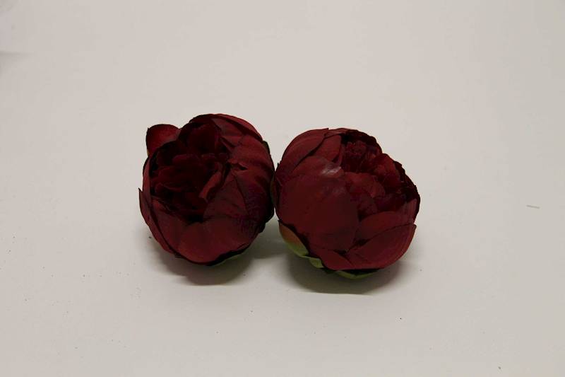 PIWONIA WYROBOWA DARK BURGUND