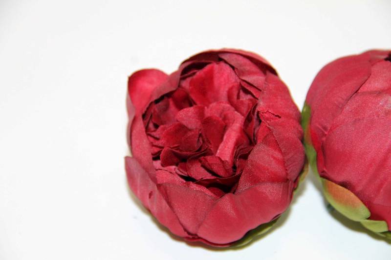 PIWONIA WYROBOWA DARK BURGUND