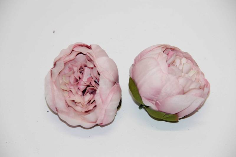 PIWONIA WYROBOWA LT.PINK