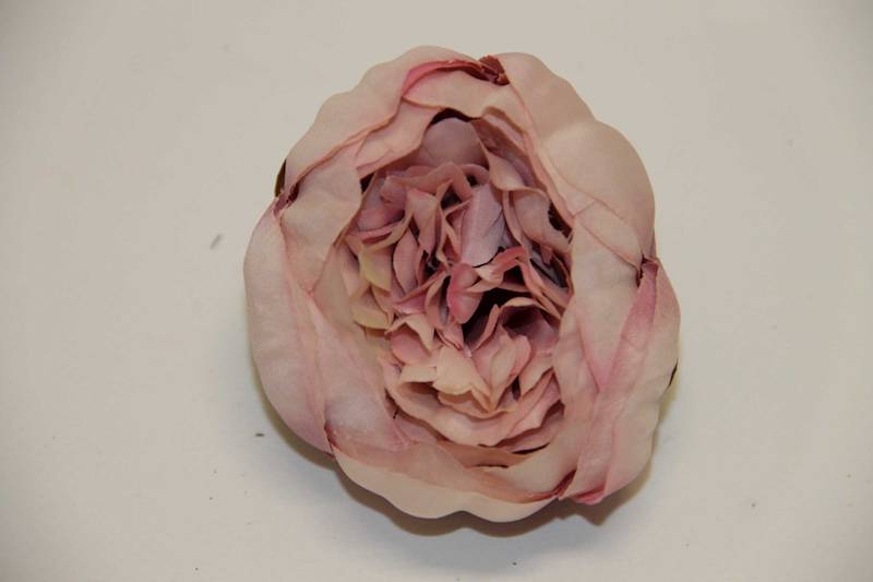 PIWONIA WYROBOWA LT.PINK