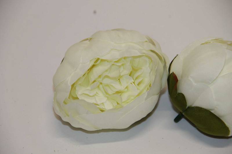 PIWONIA WYROBOWA WHITE