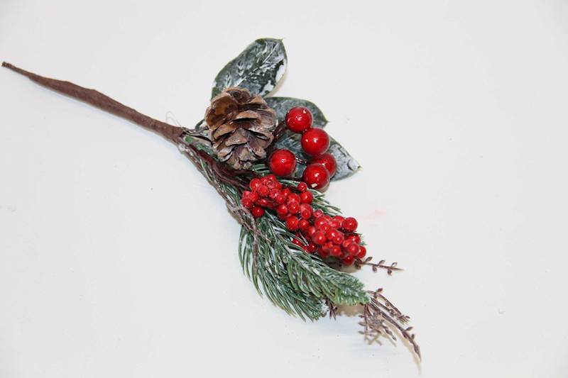 PIK JAGODA CZERWONA SZYSZKA GAŁĄZKA