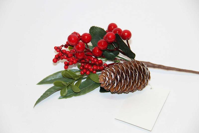 GAŁĄZKA JARZĘBINA , SZYSZKA