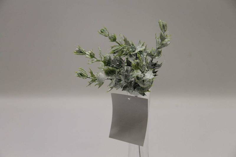 PIK/GAŁĄZKA OSTROKRZEW ŚNIEG