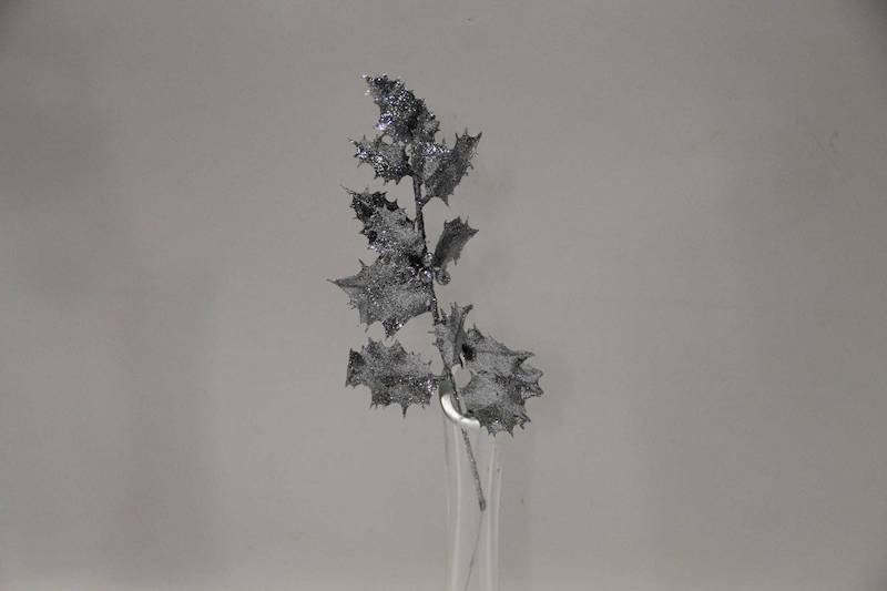 OSTROKRZEW GAŁĄZKA BROKAT SILVER