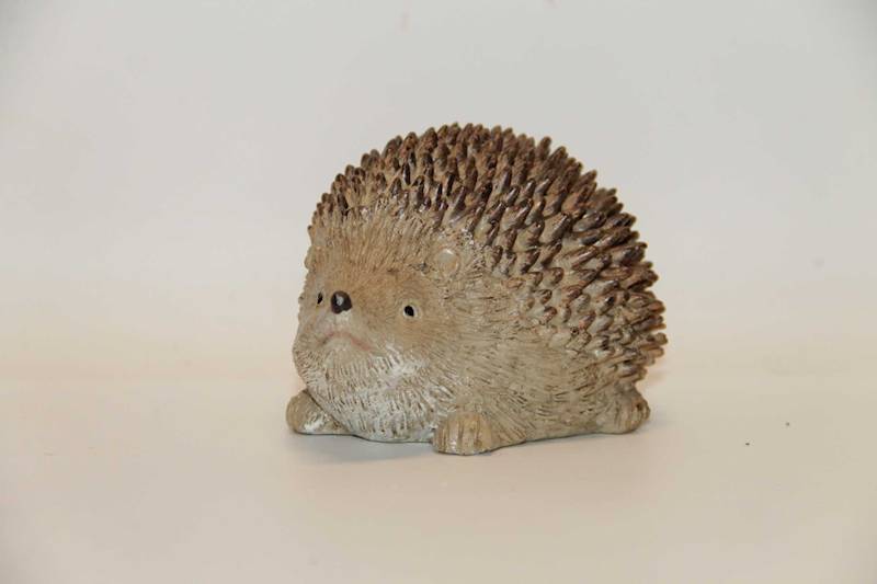 JEŻ BRĄZOWO-BEŻOWY