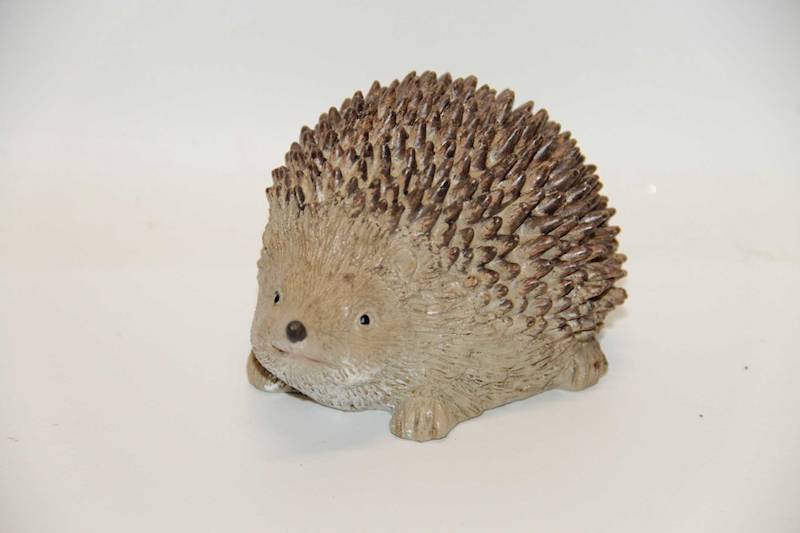 JEŻ BRĄZOWO-BEŻOWY