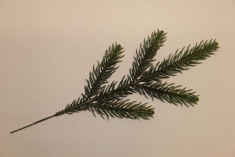 PIK ŚWIERK ZIELONY 29 CM