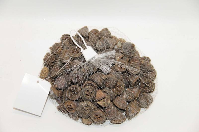 LOTOS BRĄZOWY W SIATCE 2-2,5 CM 300G