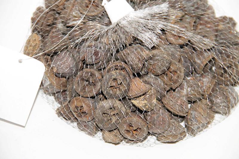 LOTOS BRĄZOWY W SIATCE 2-2,5 CM 300G