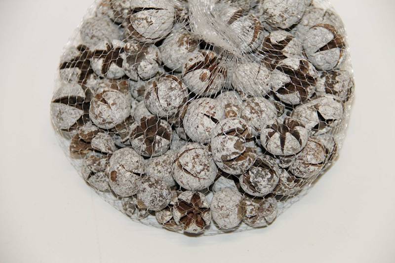 ŁUPINKI-KWIATY BIELONE W SIATCE 2,5-3  CM 300G