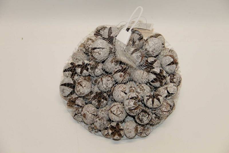 ŁUPINKI-KWIATY BIELONE W SIATCE 2,5-3  CM 300G