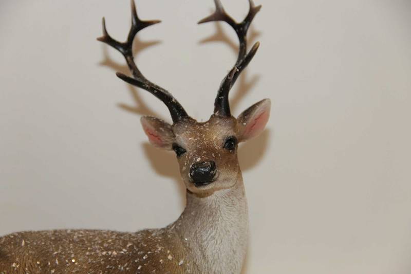 JELEŃ LEŻĄCY NATURALNY OŚNIEŻONY 16X8,5X17,5