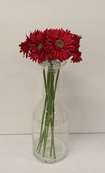 GERBERA POJ. • ,;: RED
