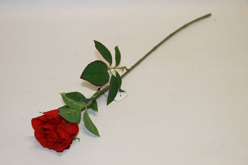 RÓŻA POJEDYNCZA #2137 RED BLACK