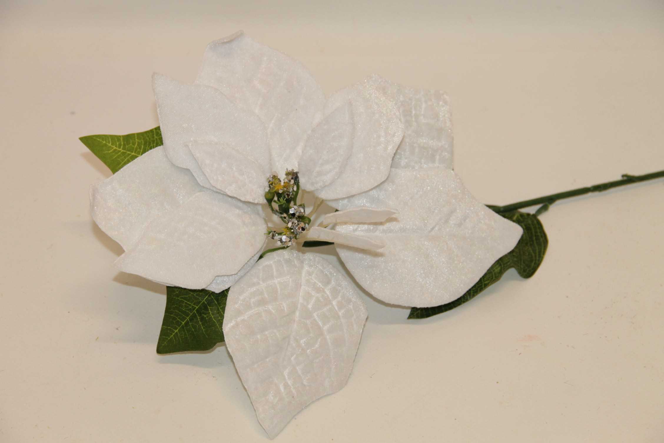 POINSESJA POJ. WELUR 65 CM BIAŁA