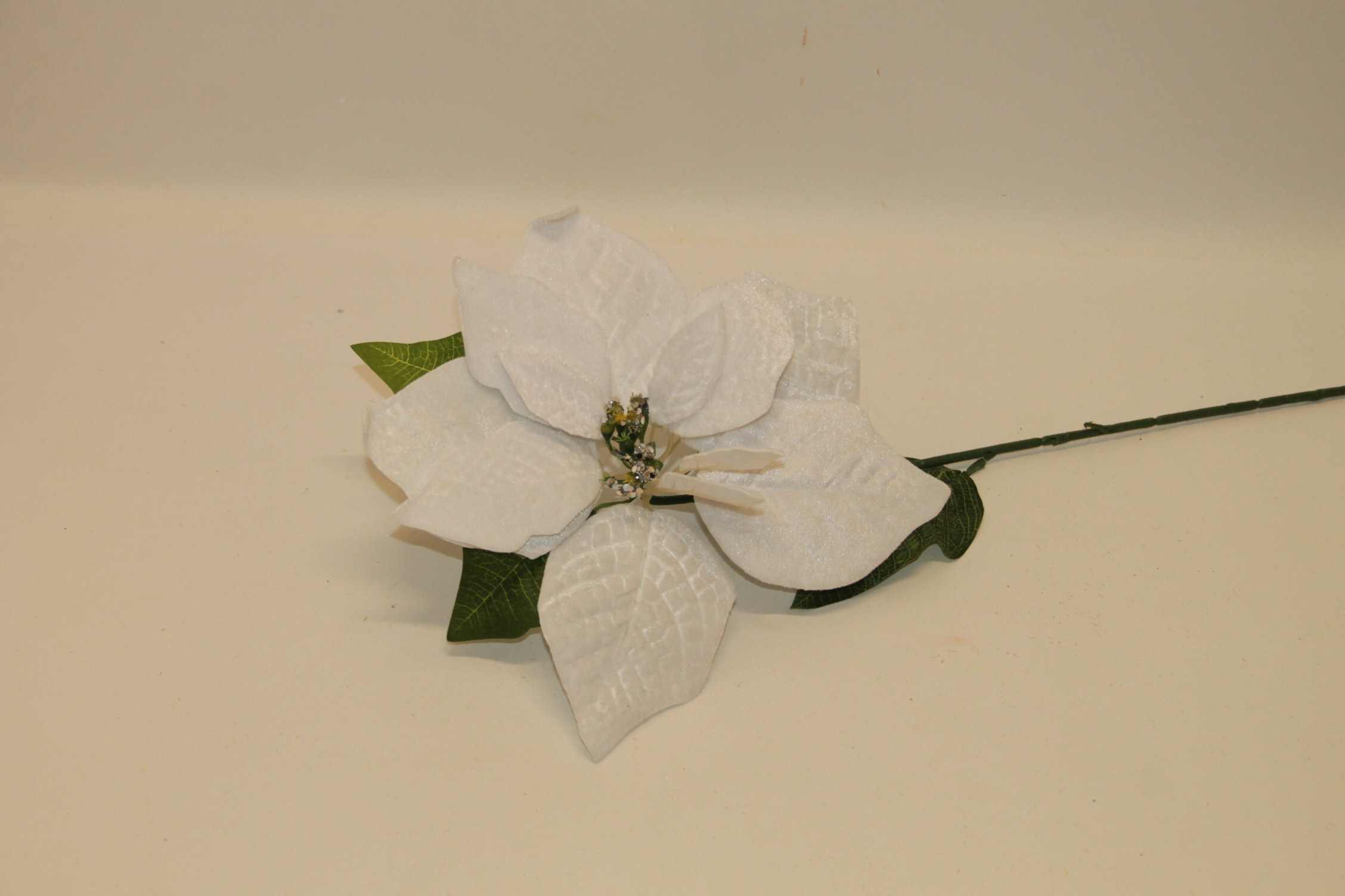 POINSESJA POJ. WELUR 65 CM BIAŁA