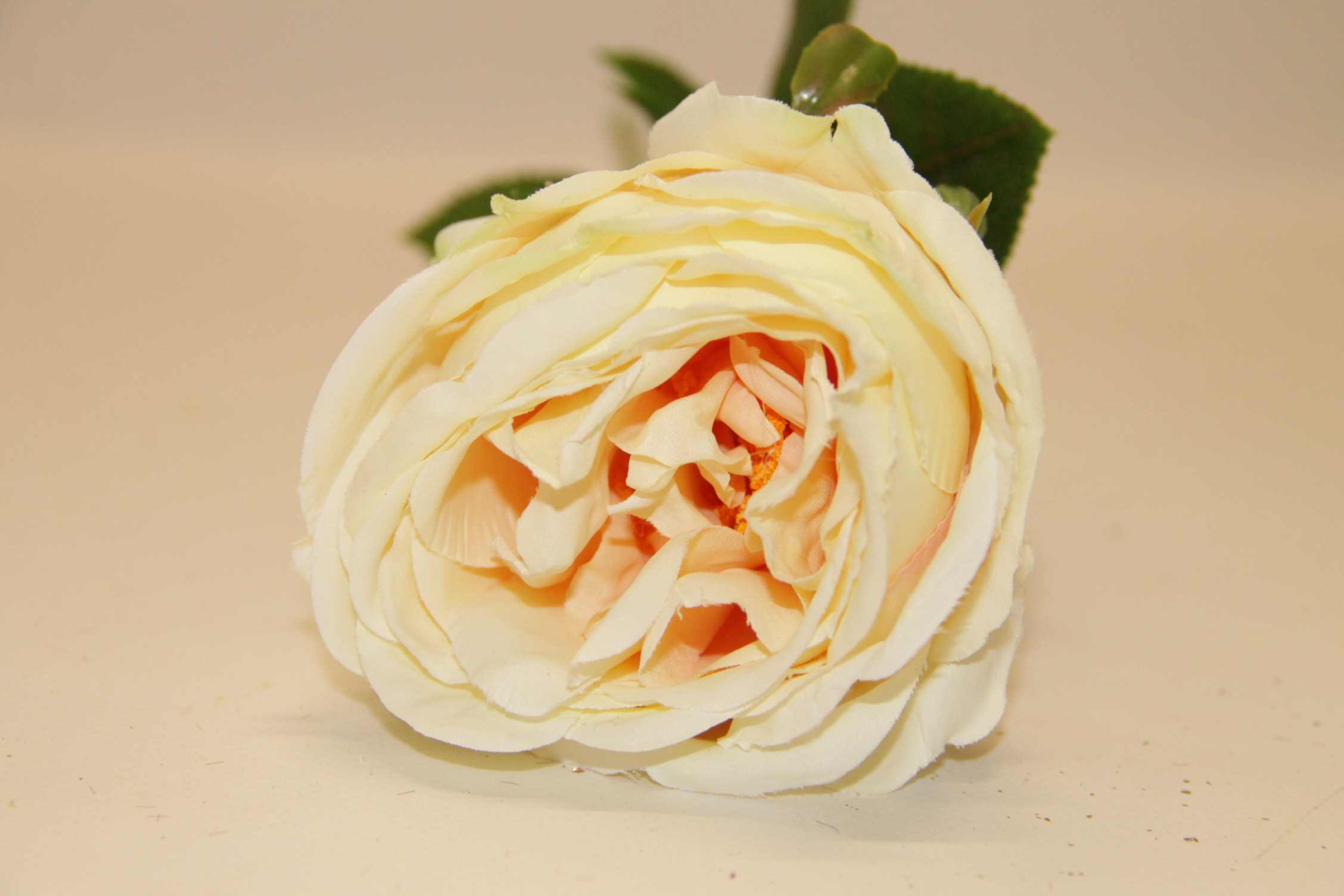 RÓŻA GAŁĄZKA • ': REAL PEACH 3065