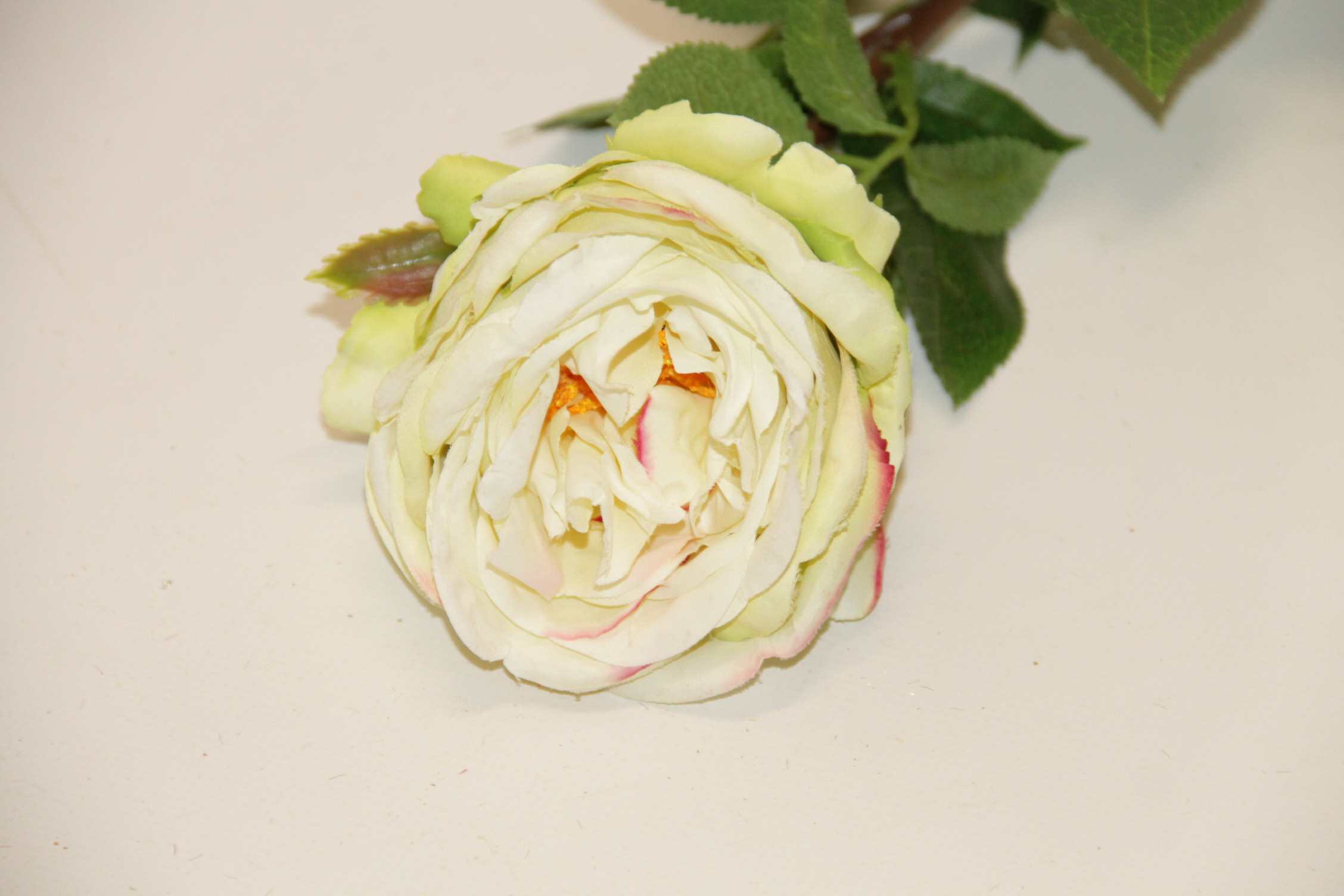 RÓŻA GAŁĄZKA • ': CREAM/LT.GREEN