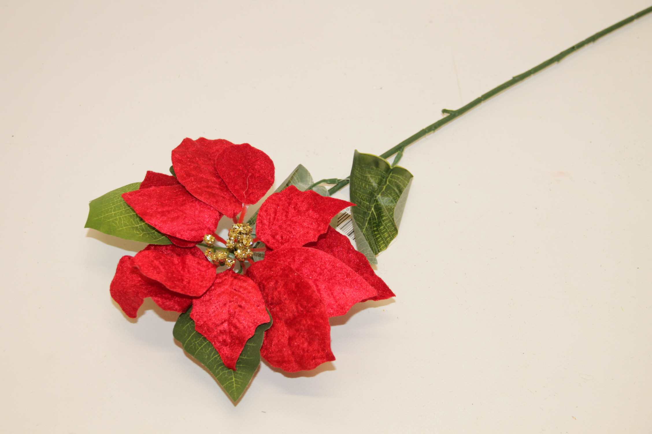 POINSESJA POJ. WELUR 65 CM CZERWONA