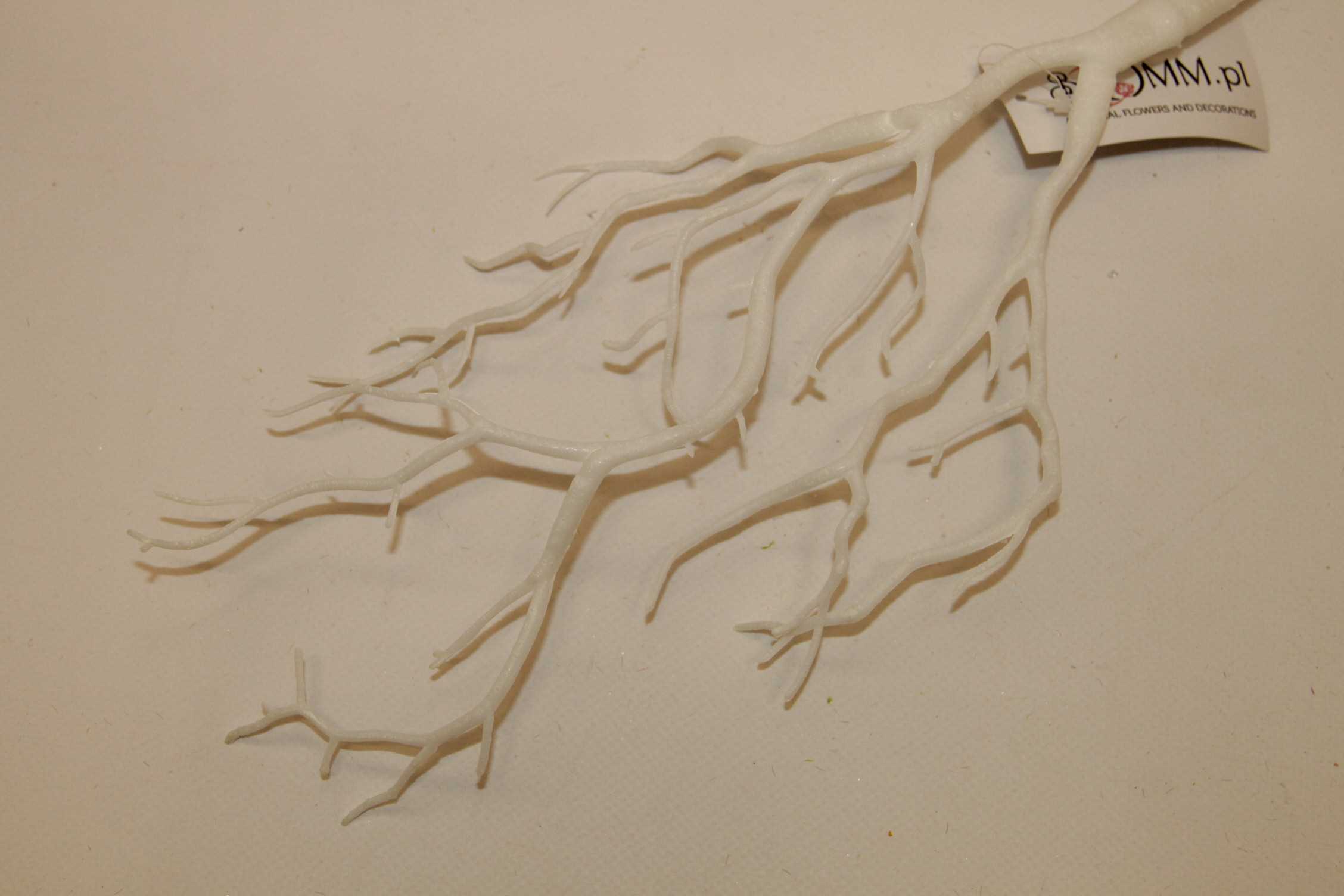 KORZENIE BIAŁE 44 CM