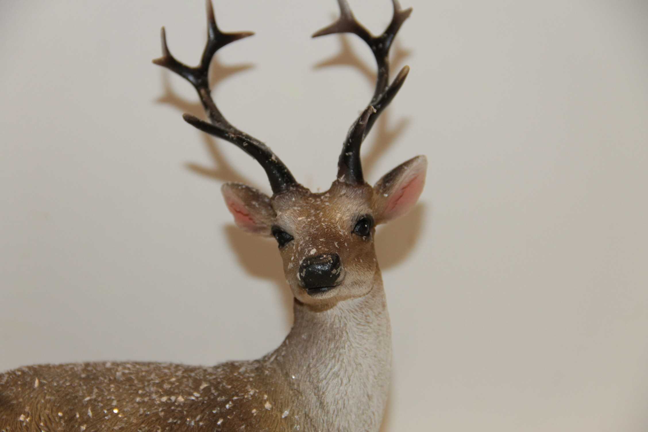 JELEŃ LEŻĄCY NATURALNY OŚNIEŻONY 16X8,5X17,5