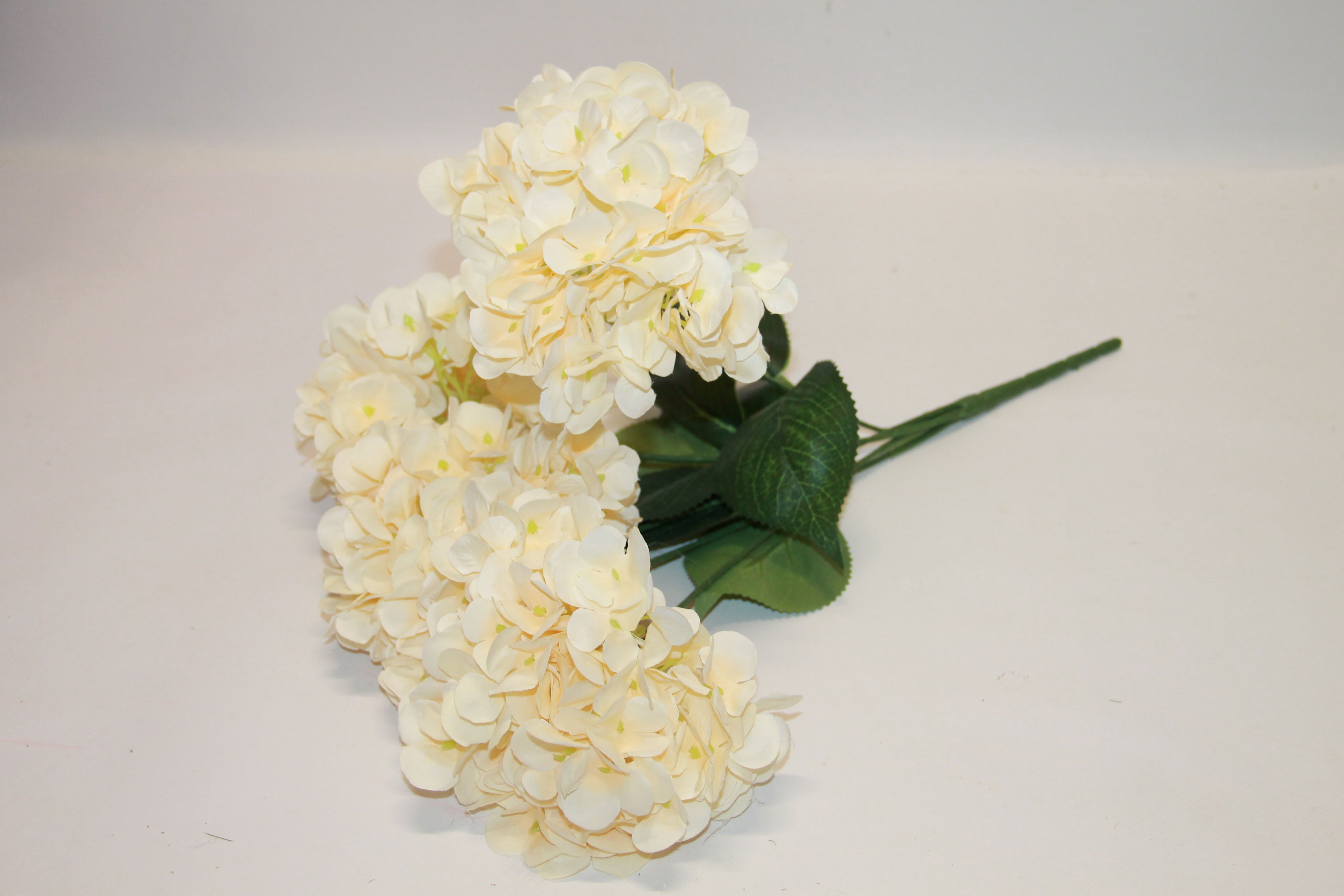 BUKIET HORTENSJA X5 CREAM