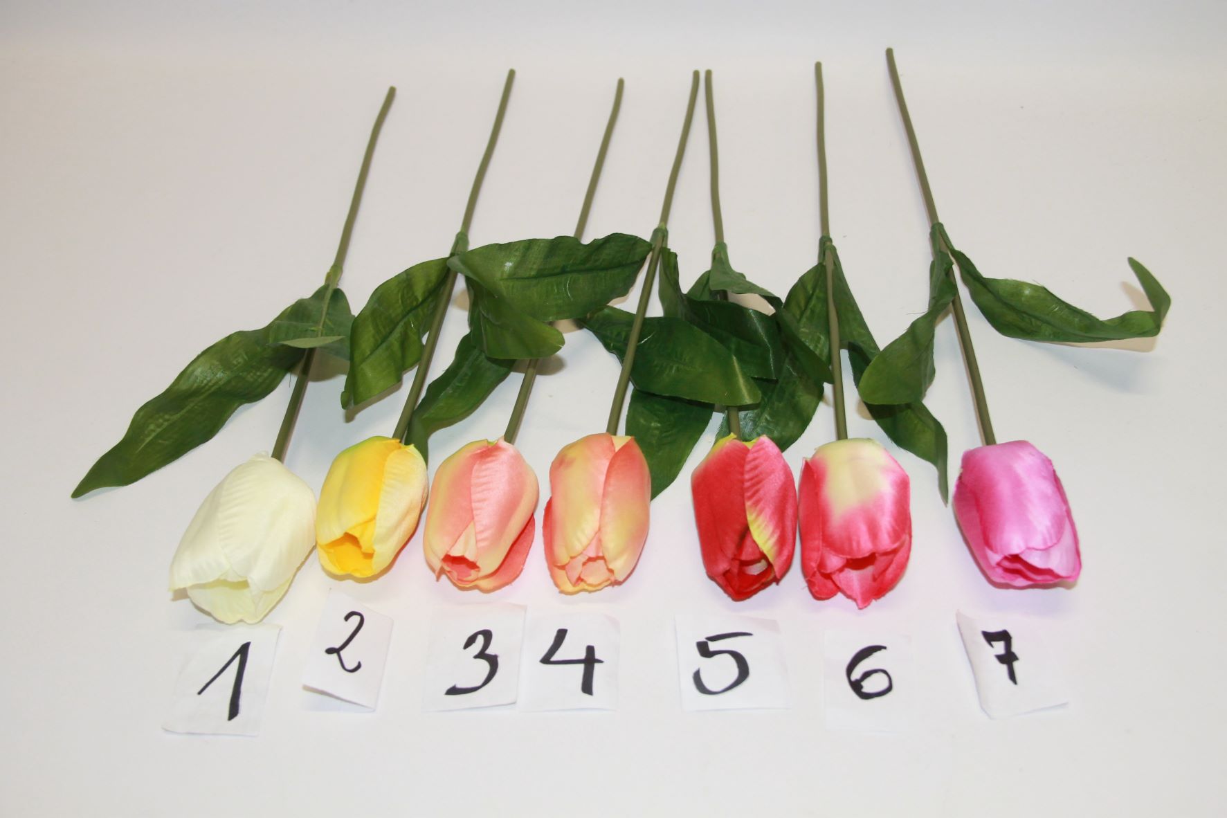 TULIPAN POJEDZYŃCZY KOLOR MIX