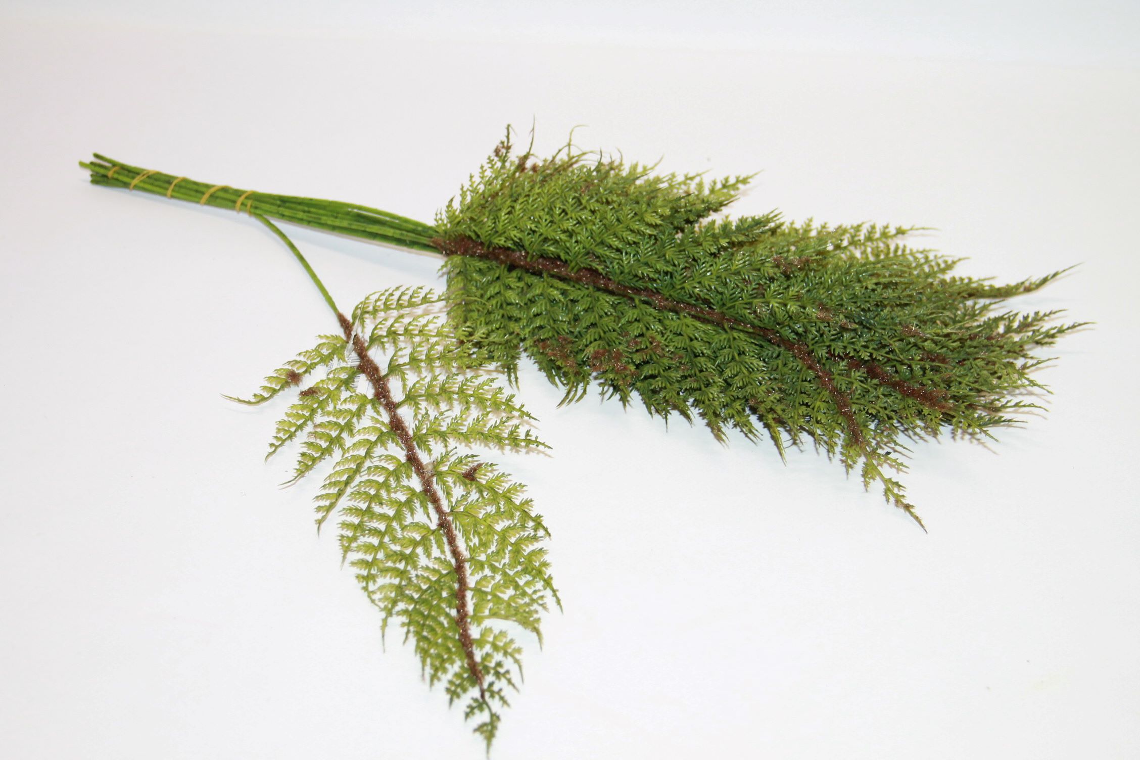 LIŚĆ PAPROCI POJEDYŃCZY LT. GREEN