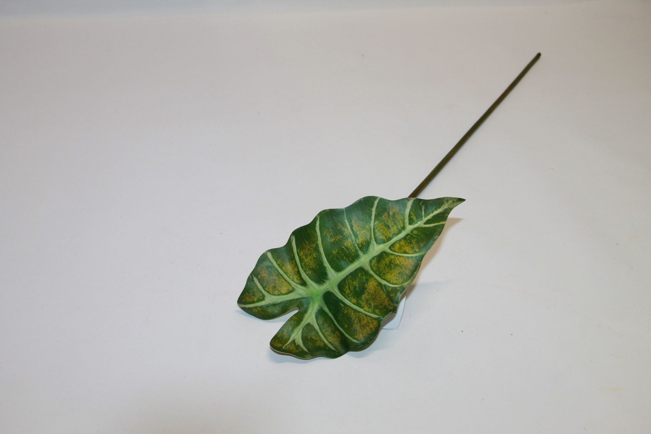 LIŚĆ ALOKAZJA JASNOZIELONY 60 CM