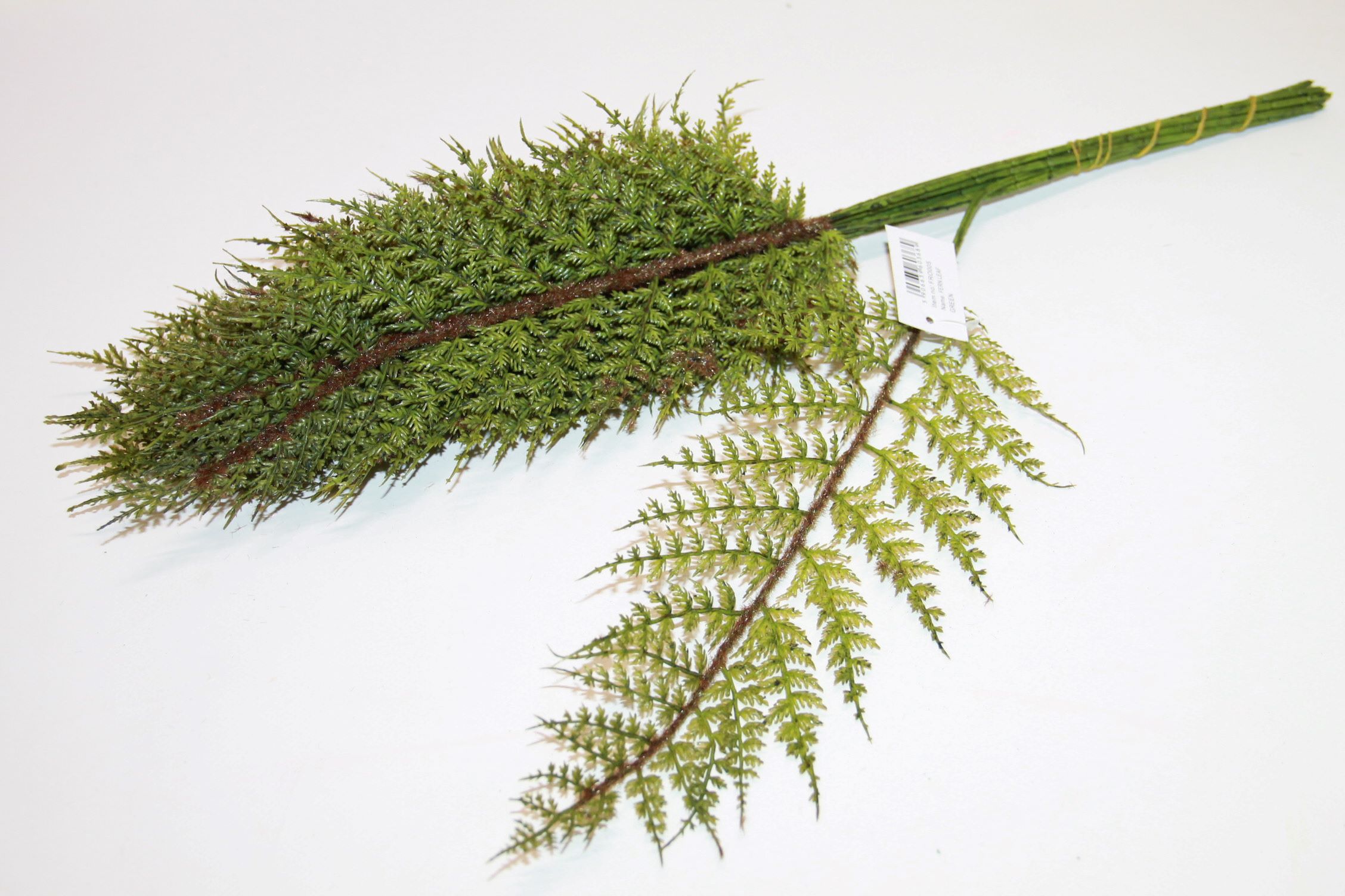 LIŚĆ PAPROCI POJEDYŃCZY GREEN