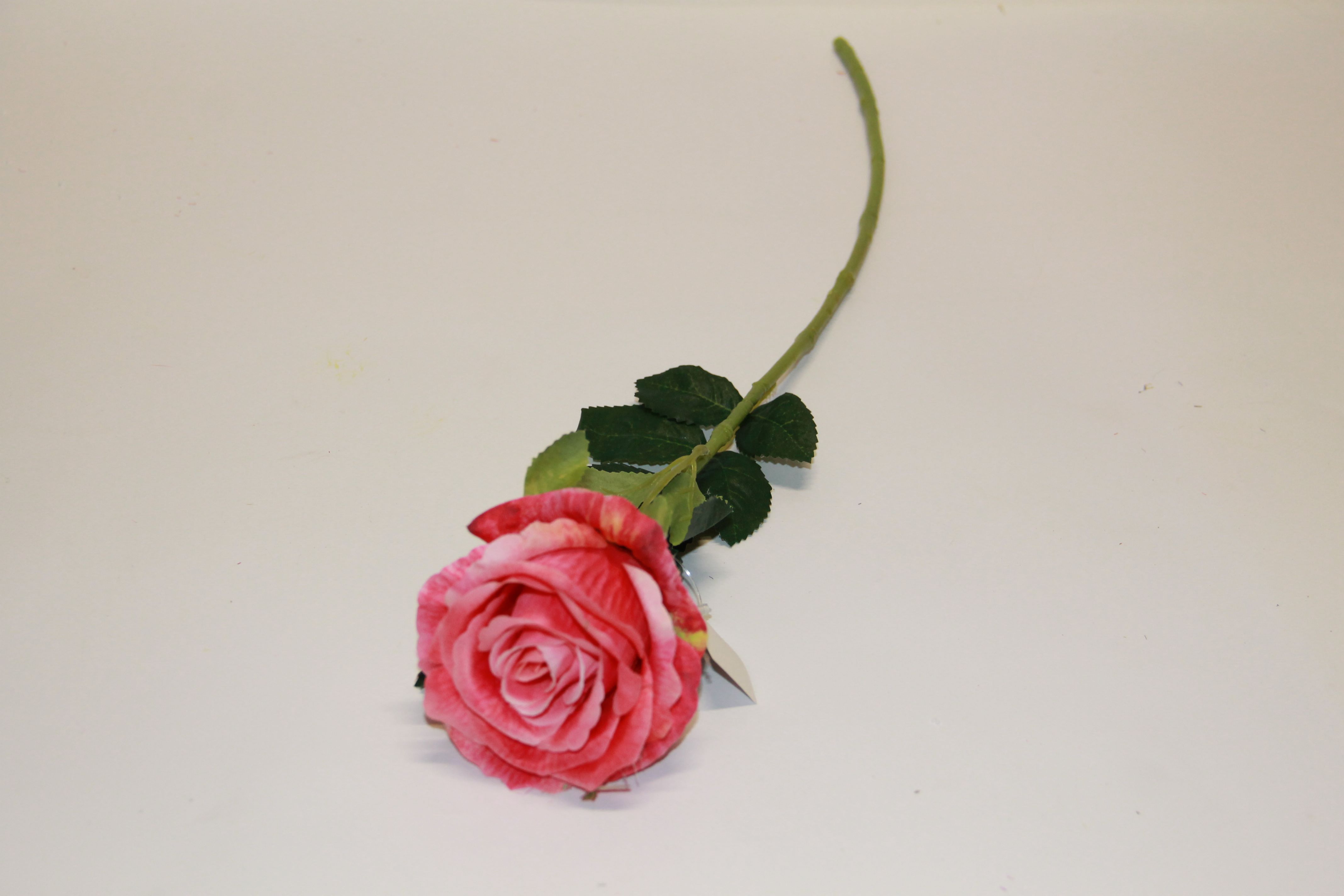 RÓŻA GAŁĄZKA PRINTING ROSE HEAD