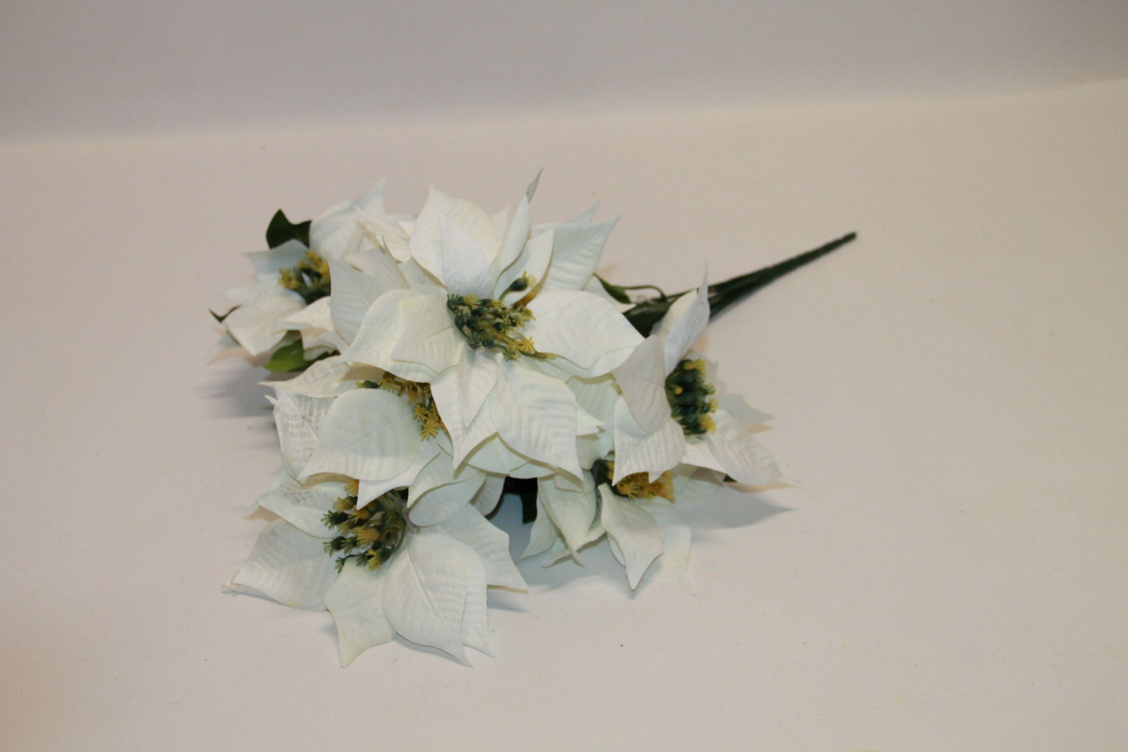 BUKIET POINSECJA BIAŁA X 11 H 50 CM