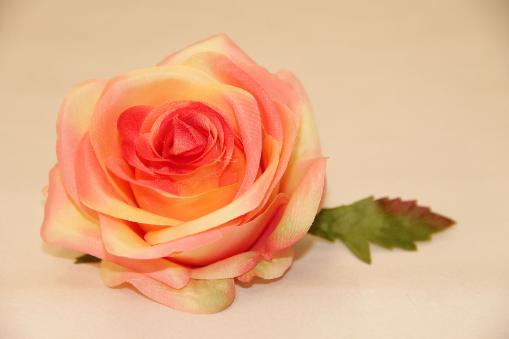 RÓŻA WYR. 385 • ,;: #1749 DR TEA