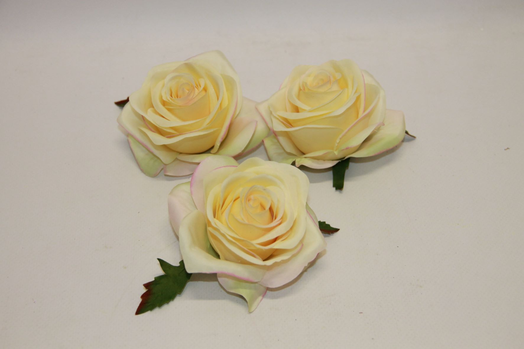 RÓŻA WYR. 385 • ,;: VANILLA PUDDING