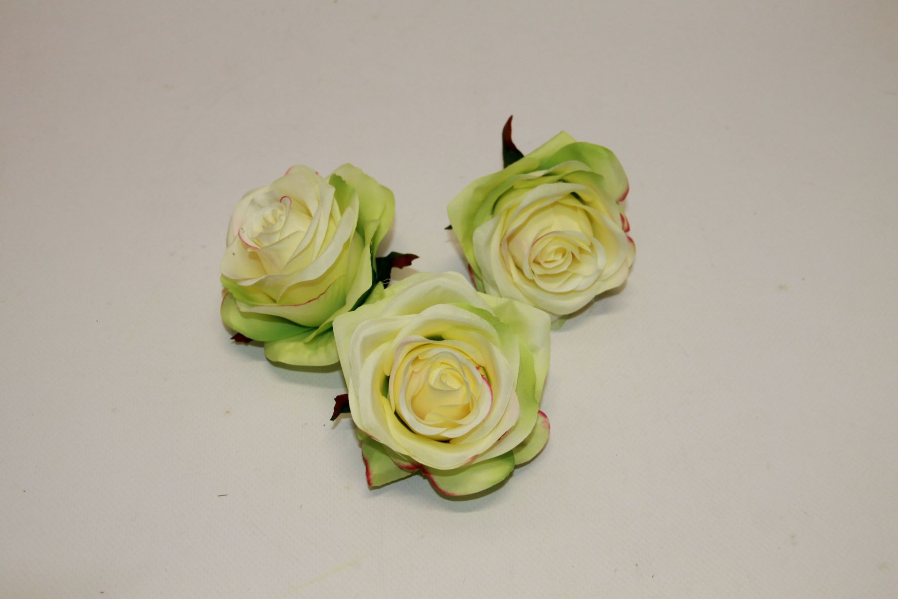 RÓŻA WYR. 385 • ,;: #1960 LT. GREEN EDGE PINK