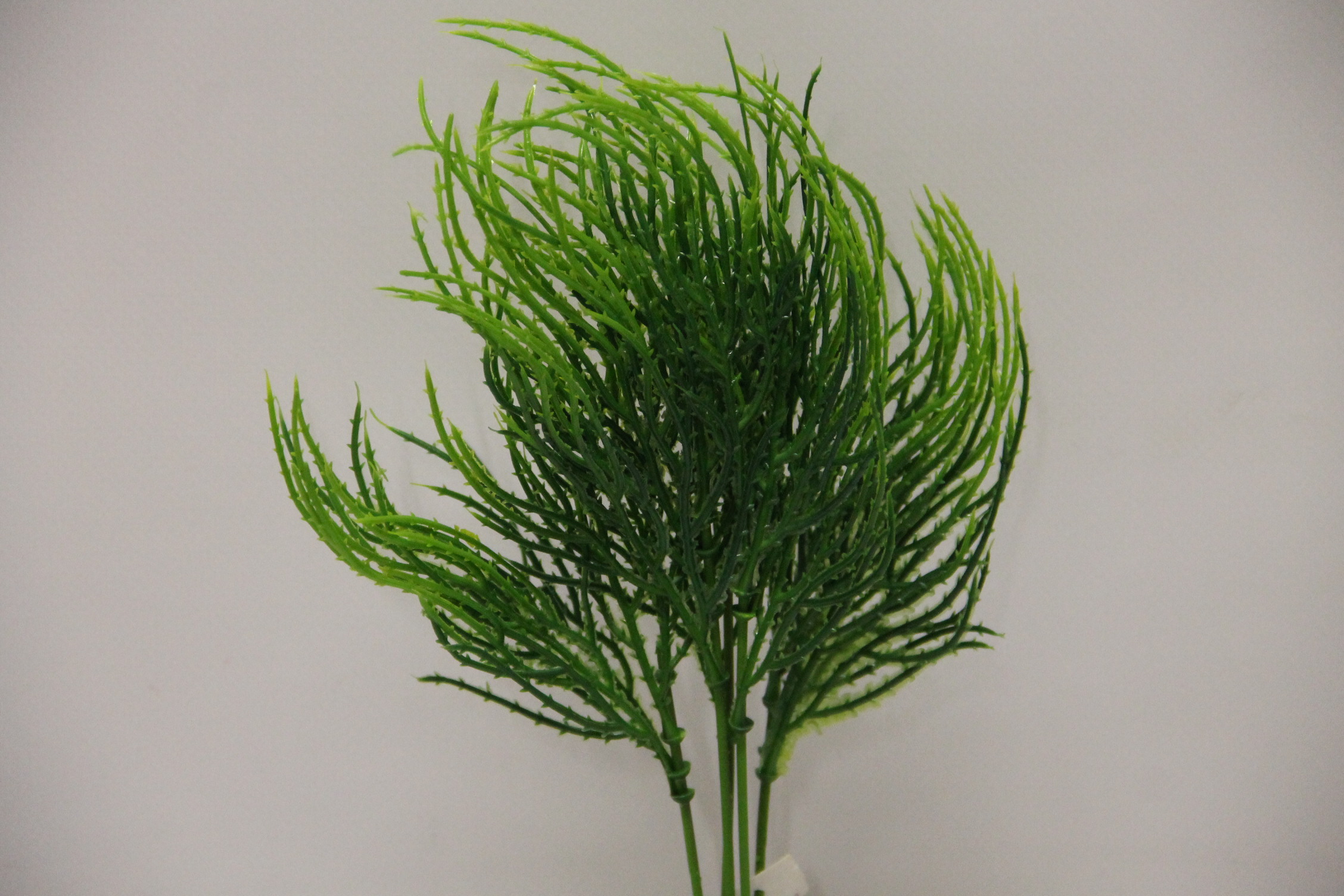 WODOROST DODATEK ZIELONY X5