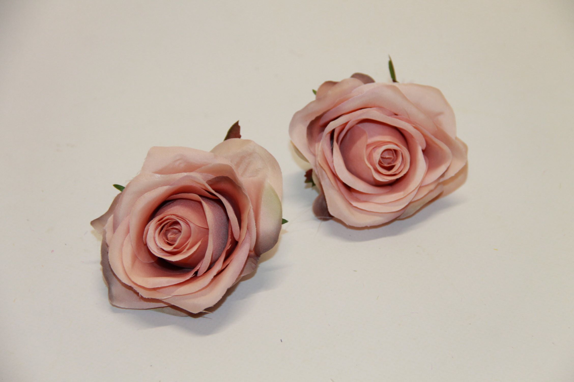 RÓŻA WYR 385 #3117 HAZELNUT