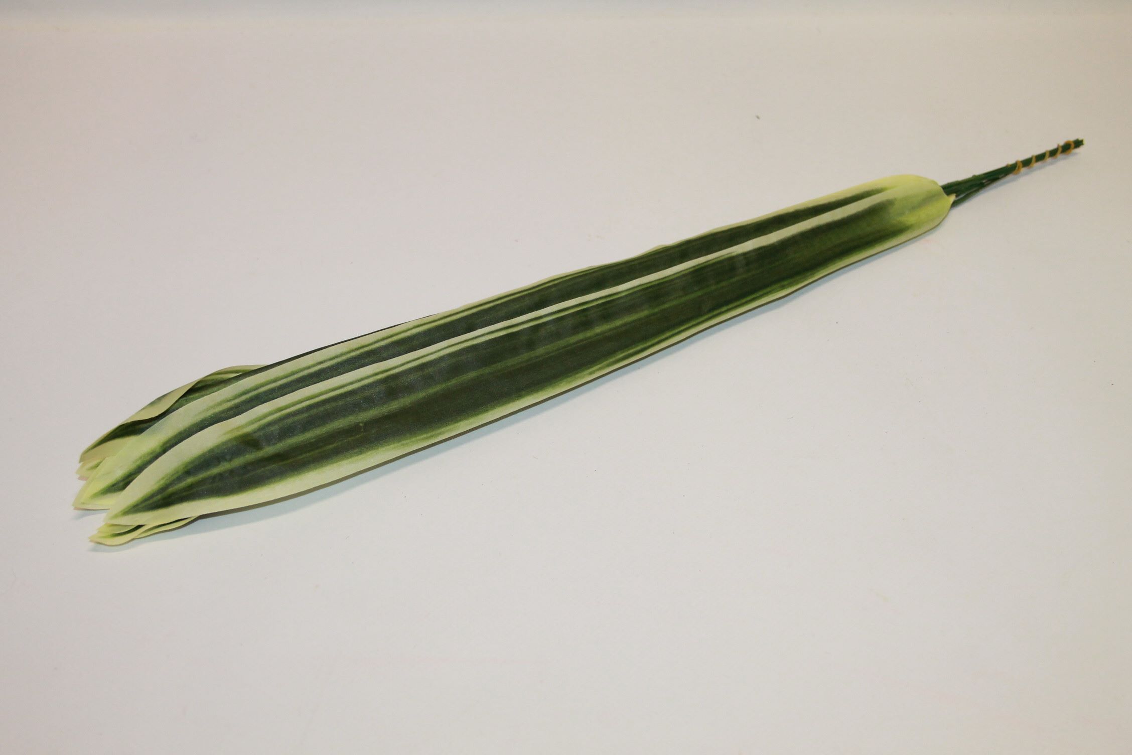 LIŚĆ DŁUGI SZABLA