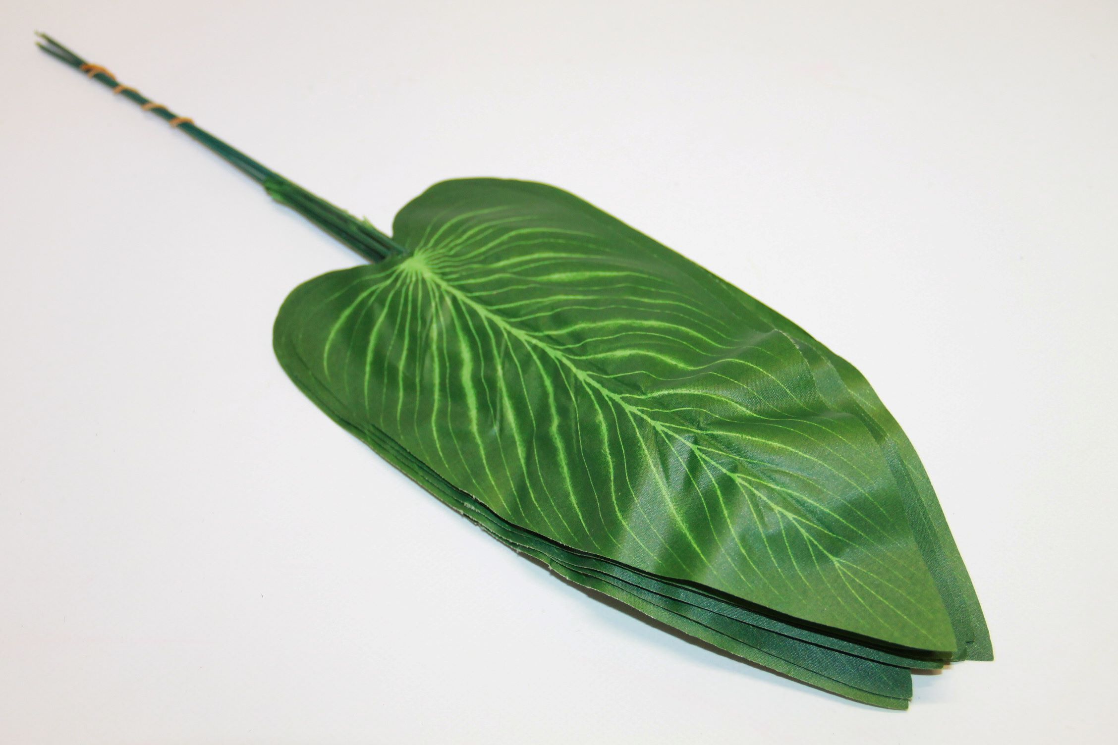 LIŚĆ ZIELONY PODŁUŻNA ŻABKA